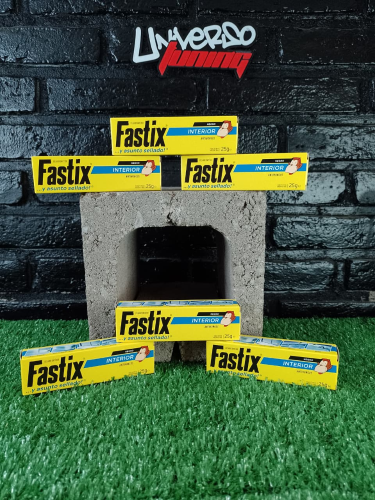 FASTIX INTERIOR 100G NEGRO