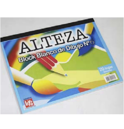 BLOCK - ALTEZA N°6 CANSON BL 20HJ NLREP0017
