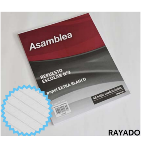 REPUESTO - ASAMBLEA 48HJ 90GR RY NLREP0006