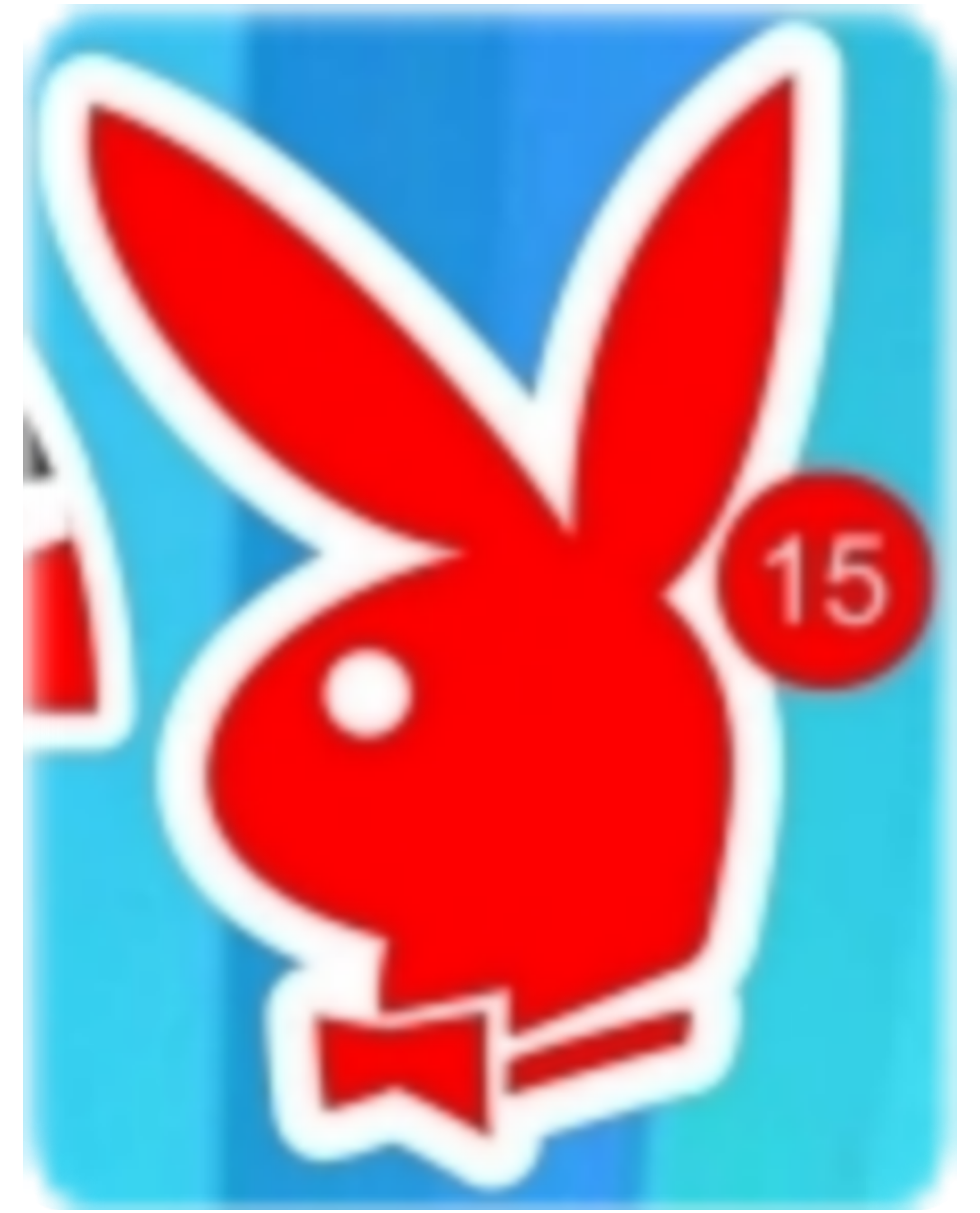 CALCO CLASICA 15