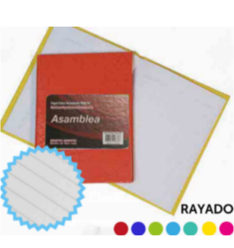 CUADERNO - ASAMBLEA 98HJ 16x21 TD RAYA NLCTD0004