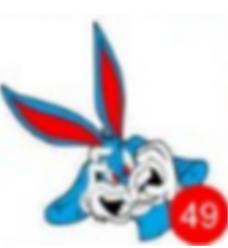 CALCOS EXHIBIDOR 2025 NUMERO 49
