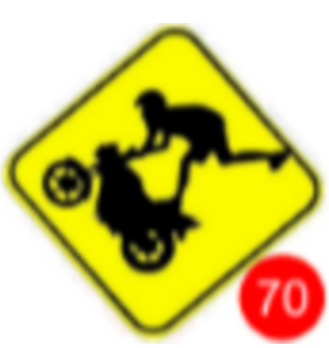 CALCOS EXHIBIDOR 2025 NUMERO 70