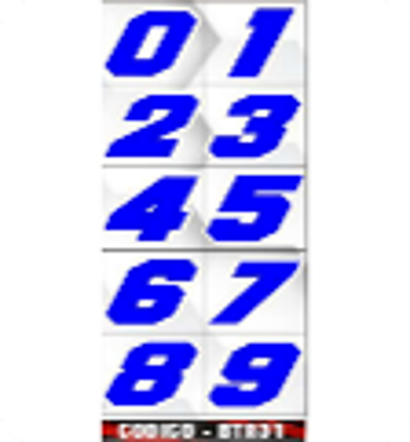 BLISTER CALCOS X48 UNIDADES X48-BTR-31X48