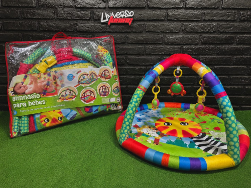 GIMNASIO ESTAMPADO BOLSA 30101-B