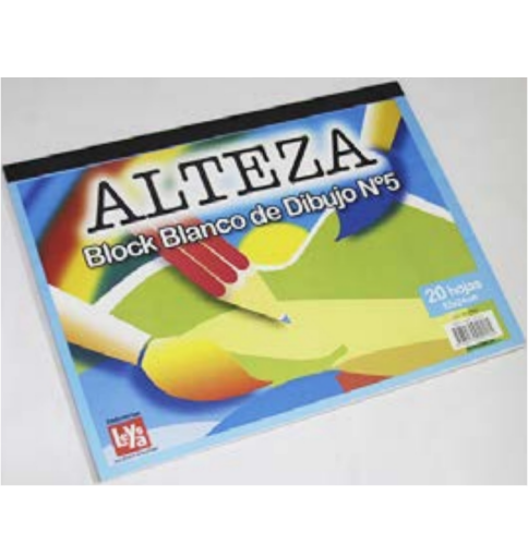 BLOCK - ALTEZA N°5 CANSON BL 20HJ NLREP0016-174022